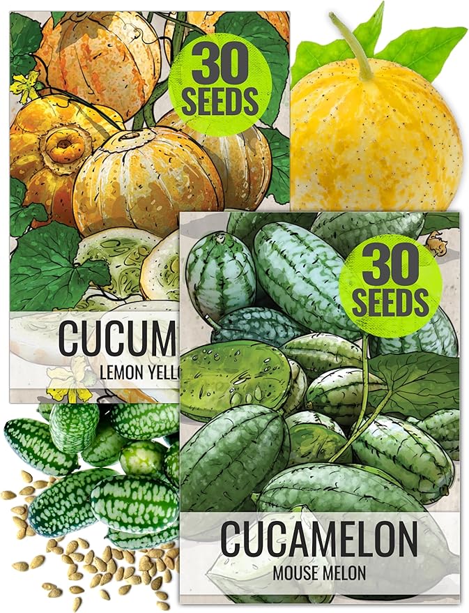Seed Needs Cucamelon Seeds/Lemon Cucumber Seeds for Planting - Non-GMO, Heirloom & Untreated Vegetables - Grow a Home Grown Outdoor Vegetable Garden (2 Pack Collection)