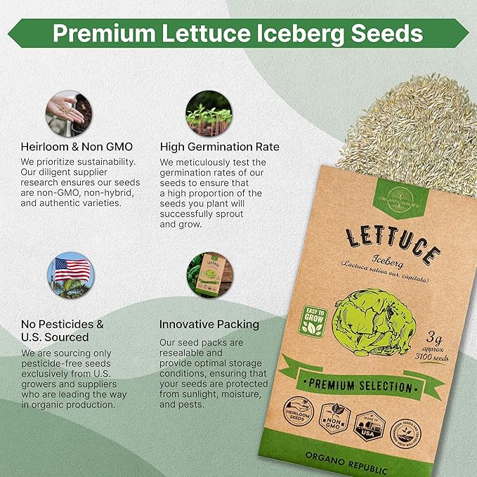 Lettuce Iceberg Seeds Pack 3G - Over 3,100 Non-GMO Heirloom Lettuce Seeds for Planting Greens in Individual Seed Packet, Greens Seeds for Planting Home Garden Indoor & Outdoor Gardening