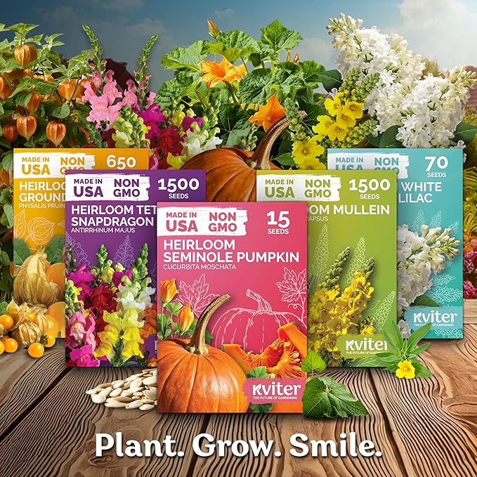 KVITER 50 Spacemaster 80 Cucumber Seeds (Cucumis sativus) - Compact Space Master Cucumber Organic Seed Packets, Pickling & Slicing Cucumbers - Vegetable Seeds for Planting in Small Garden & Containers