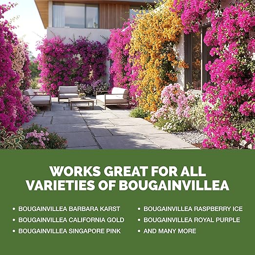 Bougainvillea Fertilizer – Liquid Plant Food for Bougainvillea Blooms & Healthy Growth, 8 oz