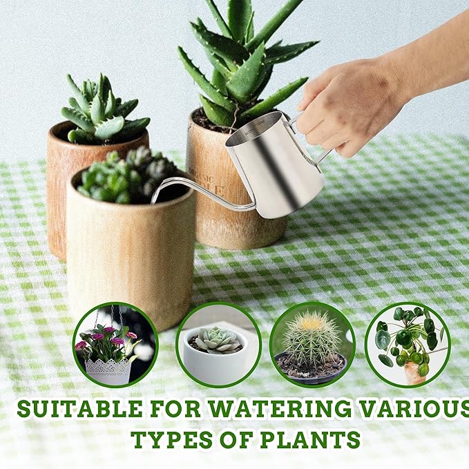 Small Watering Can for Indoor Plants, 12 OZ Mini Flower Watering Pots with Long Spout and Handle, Stainless Steel Water Can for Outdoor Garden House Office (Silver)