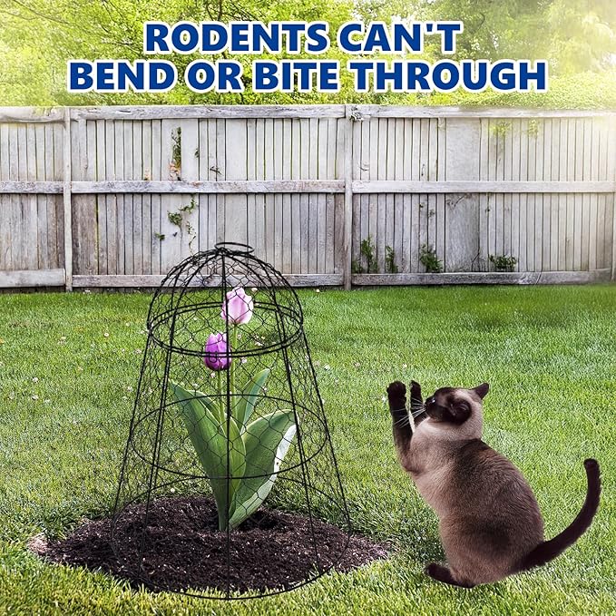 Garden Cloches for Plants - Set of 12 Chicken Wire Plant Cages and Plant Protectors from Animals, 17.7" H x 12.8" D, Outdoor Vegetable and Flower Cages, Sapbontchi Chicken Wire Cloche (12)
