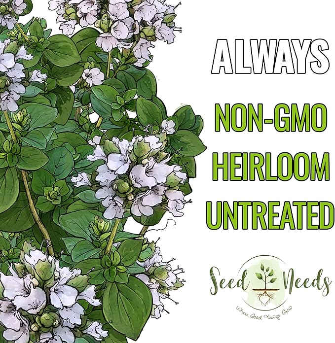 Seed Needs Sweet Marjoram Seeds for Planting - Heirloom, Non-GMO & Untreated - Perennial Culinary & Medicinal Herbs for Indoor/Outdoor Growing (2 Packs)