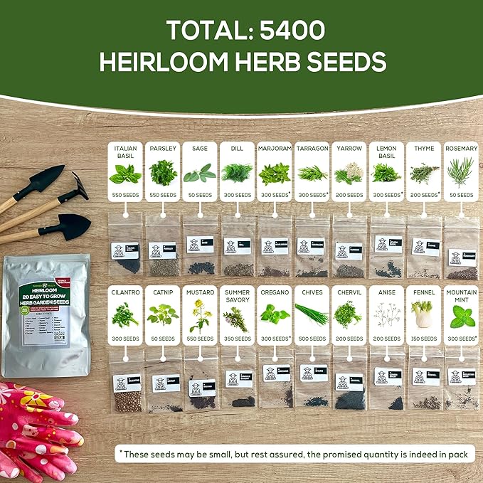 20 Easy to Grow Spice and Herb Seeds for Home Gardening - Kitchen & Culinary Herb Plant Seeds for Indoor, Outdoor, and Hydroponic Growing, Including Basil, Parsley, Rosemary, Mint & More