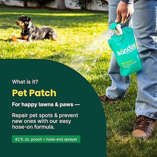 Sunday Pet Patch - Lawn Spots Repair - Repair & Prevent Grass Pet Spots - Easy Hose-On Formula - Covers Up to 2,500 sq ft - 2 Pack - 42 Fl Oz