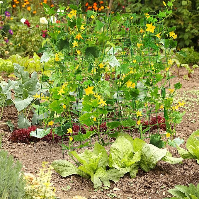 Pack 2 Heavy Metal Garden Trellis for Climbing Plants with Trellis Netting & Garden Clips, A-Frame Cucumber Trellis for Raised Bed