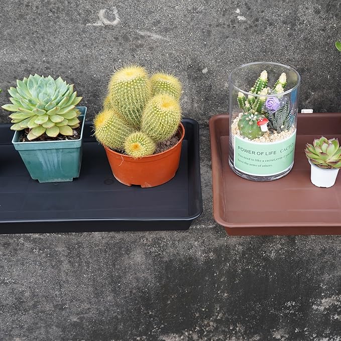 Plant Growing Trays 4 Pack, Plant Tray, 14.5"x11", Heavy Sturdy Plastic Plants Saucer, Seedling Starter Trays, Seed Starter Growing Tray (Black)
