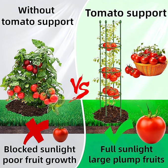 2 Pack Heavy Duty Tomato Cages for Garden, 59 Inch Tall Adjustable Metal Tomato Plant Support for Pots, Round Trellis for Climbing Plants Outdoor, Vegetable, Cucumber, Beans