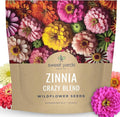 Zinnia Crazy Blend - Large 1 Ounce Packet - 4,000 Flower Seeds for Planting - Zinnia elegans