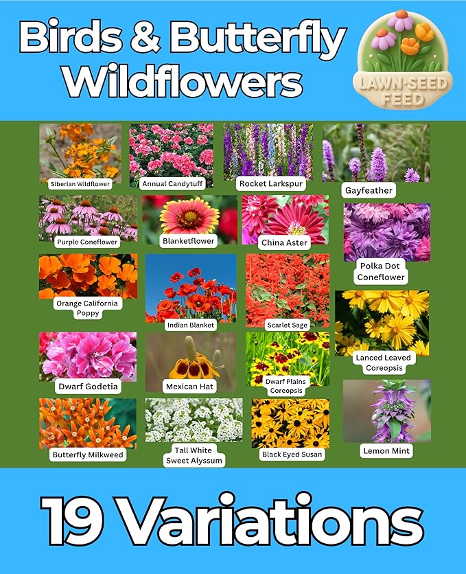Birds & Butterfly Wildflower Seed Mix (2oz) Vibrant Pollinator Flowers that Attract Butterflies & Provide Seed for Birds