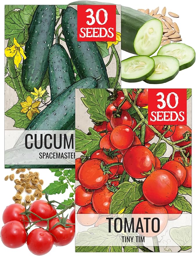 Seed Needs Vegetable Seeds for Planting Spacemaster 80 Cucumbers & Tiny Tim Tomatoes - Non-GMO Heirloom & Untreated Veggie Seed to Plant an Outdoor Vegetable Garden (2 Packs)