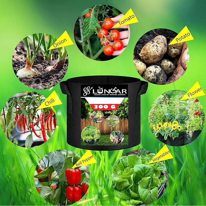 Plant Grow Bags - 2 Gallon 10 Packs Planter Pot, Thickest Aeration 300G Non-Woven Fabric, Reinforced Handles for Weatherproof Nursery Pot, Enhanced Double Seam