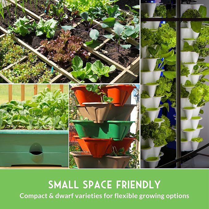 Tower Garden Seeds 15 Variety Collection - Heirloom Compact Vegetables & Herbs for Small Space, Patio, & Container Growing - Dwarf Garden Seed Variety Pack for Planting - Survival Garden Seeds