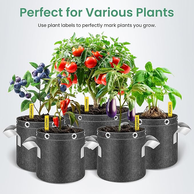 InfiniPower 5 Pack 3 Gallon Plant Grow Bags, 400G Thick Nonwoven Fabric Pots with Multi-Purpose Rings and Handles, Reusable for Low Stress Plant Training Fruits, Vegetables and Flowers