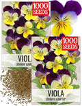 Seed Needs Johnny Jump Up Seeds for Planting Helen Mount Violas - Heirloom & Open Pollinated Flower Seed to Plant an Outdoor Flower Garden - Perfect for Borders, Pots & Containers
