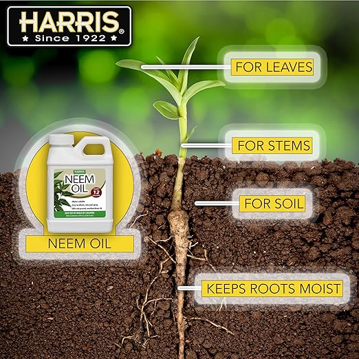 HARRIS Neem Oil Cold Pressed Water Soluble Concentrate, Makes 12 Gallons