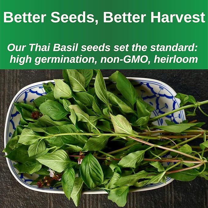 TKE Farms & Gardens - Thai Basil Seeds for Planting, 500+ Non-GMO Heirloom Seeds, Easy-to-Grow Herb, Indoor & Outdoor Gardening, Perfect for Home Chefs and Asian Cuisine, Instructions Included