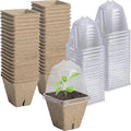 Purple Star 40 PCS Seeding Starter Pots for Planting- 2.3 Inch Square Biodegradable Nursery Pot with Humidity Dome- Peat Pots for Seedlings Garden Vegetable Flower Germination