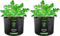 VIVOSUN 2 Pack 45 Gallon Grow Bag, Fabric Pot with Handles for Vegtables and Plants