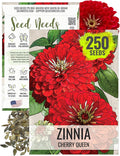 Seed Needs, Cherry Queen Zinnia Seeds - 250 Heirloom Seeds for Planting Zinnia elegans - Attracts Butterflies & Pollinators, Great Cut Flowers (1 Pack)
