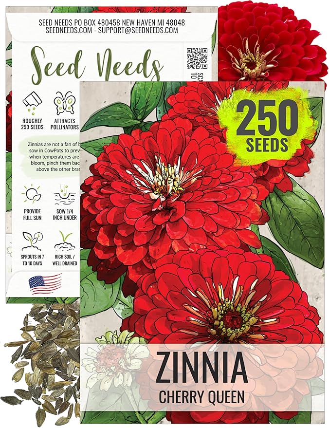 Seed Needs, Cherry Queen Zinnia Seeds - 250 Heirloom Seeds for Planting Zinnia elegans - Attracts Butterflies & Pollinators, Great Cut Flowers (1 Pack)
