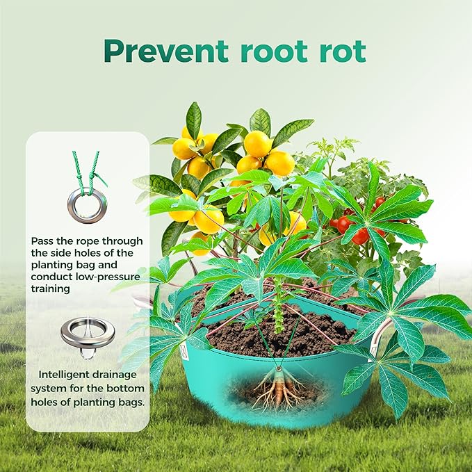 2 Pack 50 Gallon 3 Compartment Potato Grow Bag,Vegetable Growing BagThickened PE Garden Pots with Drainage Holes Branch-Binding Holes, Reusable Plant Bag for Vegetables、Flowers