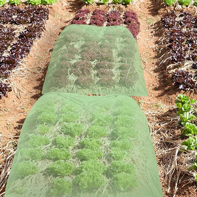 Sawysine 4 Pack Mesh Plant Cover Reusable Screen Cloche Dome Plant Protector Tent Collapsible Umbrella for Outdoor Garden Greenhouse Vegetable Flowers Strawberry from Animals(15 x 15 Inch,Green)