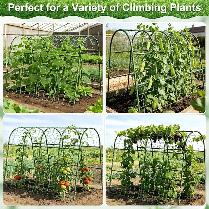 Cludoo Cucumber Trellis for Raised Bed Garden, U-Shape Arch Trellis for Climbing Plants Outdoor, Metal Vegetables Trellis with Netting, Garden Trellis for Cucumber Plants Sweet Pea Bean Grape