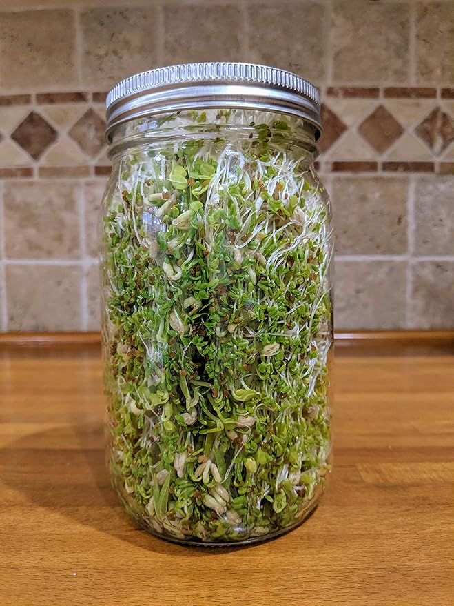 Sprouting Jar with Screen Lid-316 Stainless Steel 100% Rust Free, Wide Mouth Quart Mason Jar Kit Sprouter, Organic Healthy Fresh Broccoli, Alfalfa, Mung Bean Sprouts and more (Seeds not included)
