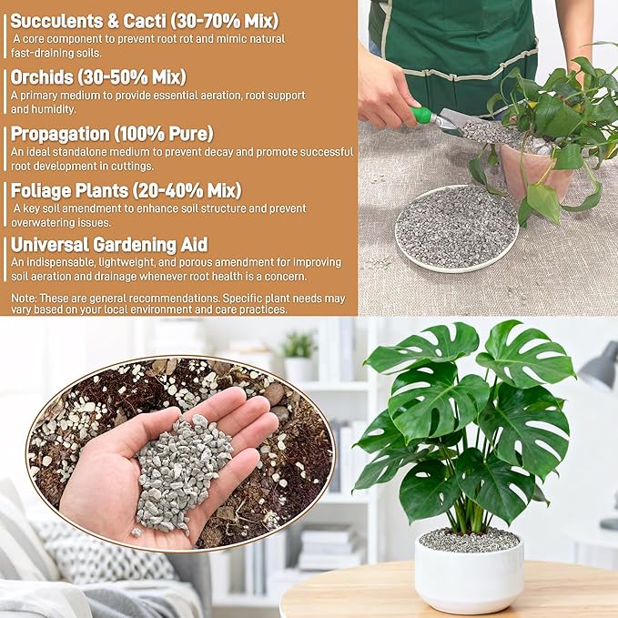 Horticultural Pumice for Plants, 8 Quarts Bag Natural Soil Amendment, 1/4" Particle Size for Succulent, Cactus, Bonsai Tree, Orchid Potting Mix