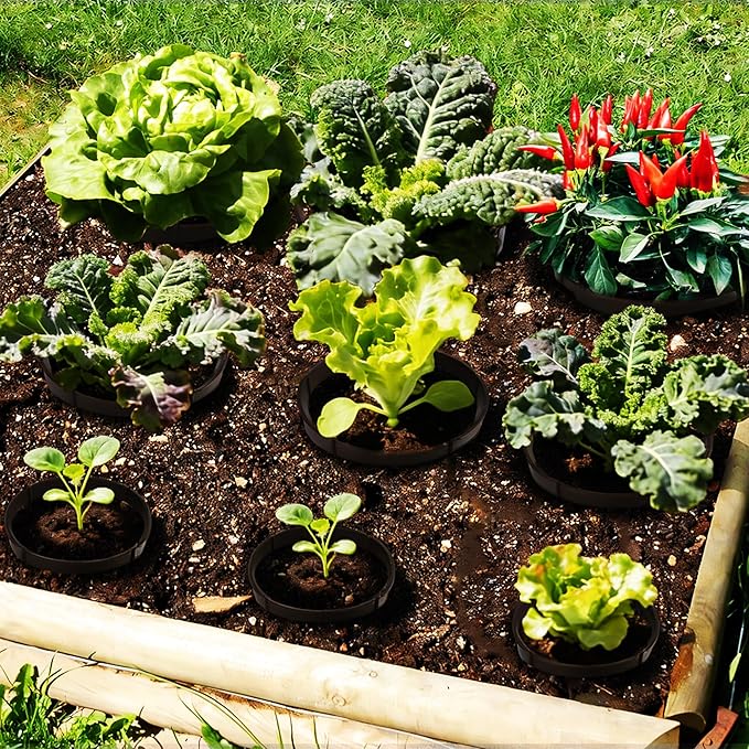 40Pcs Planting Grow Rings,7.8-11.8 Inch Interlocking Plant Barrier, Modular Garden Edging for Vegetables, Brown Adjustable Plant Support Circles for Moisture Retention & Weed Control