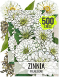 Seed Needs Polar Bear White Zinnia Seeds for Planting - Heirloom & Untreated - Grow a Butterfly Garden to Attract Butterflies, Bees and Pollinators - Great Cut Flowers (2 Packs)