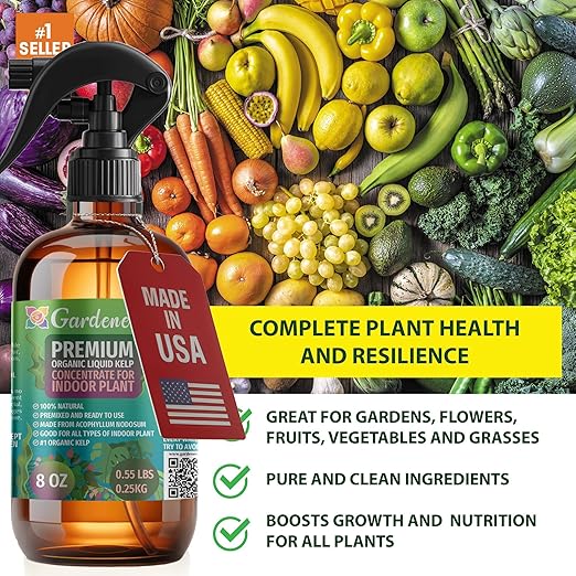GARDENERA Professional Organic Liquid Kelp Spray for Money Tree Plants - 8 oz - Ready-to-Use Fully Organic Seaweed & Kelp Fertilizer Mist