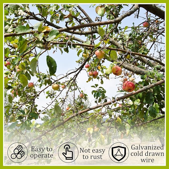 MorningRo 50 Pcs Fruit Tree Limb Spreaders Plant Tying Machine Puller Branch Spreaders Plum Tree Open Angle Pull Branch Stereotyped Tying Bending Farm Tools, M-3.15(Inch), Galvanized
