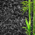 Horticultural Charcoal for Plants – Organic Bio Char Soil Amendment for Terrariums, Indoor Plants & Gardening, Made in USA (30 quarts)