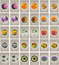 Deluxe Flower Garden Seed Variety Pack – 30 Seed Packets | Sunflower, Zinnia, Lavender, Cosmos & Cut Flower Mix | Easy Grow Pollinator & Bouquet Garden Seeds