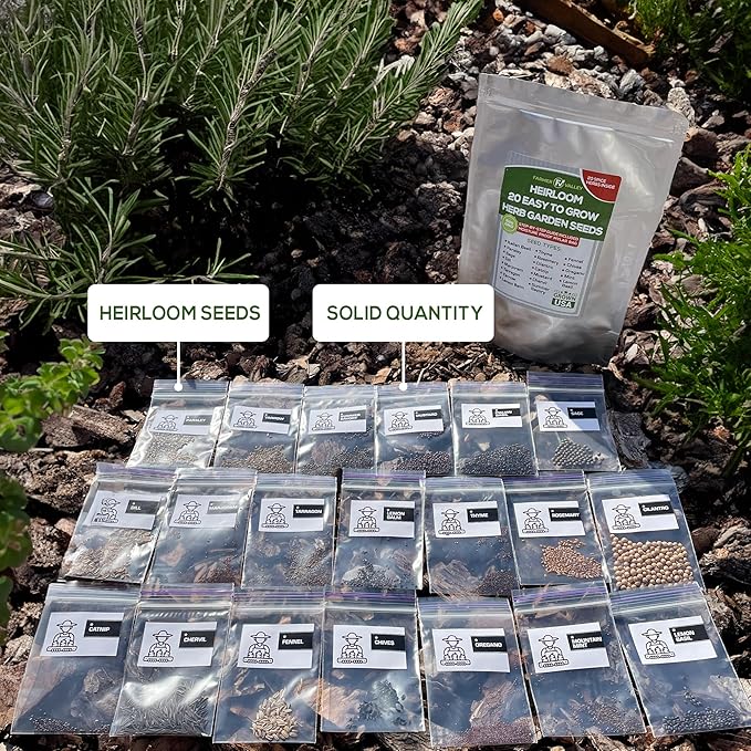 20 Easy to Grow Spice and Herb Seeds for Home Gardening - Kitchen & Culinary Herb Plant Seeds for Indoor, Outdoor, and Hydroponic Growing, Including Basil, Parsley, Rosemary, Mint & More