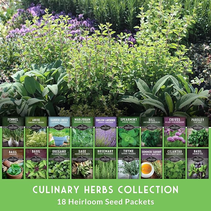 Culinary Herb Seeds Variety Pack for Planting - Grow 18 Heirloom Kitchen Herbs with Basil, Cilantro, Parsley, Dill, Chives, Oregano, Sage, Rosemary, Mint - Indoor or Outdoor - Survival Garden Seeds