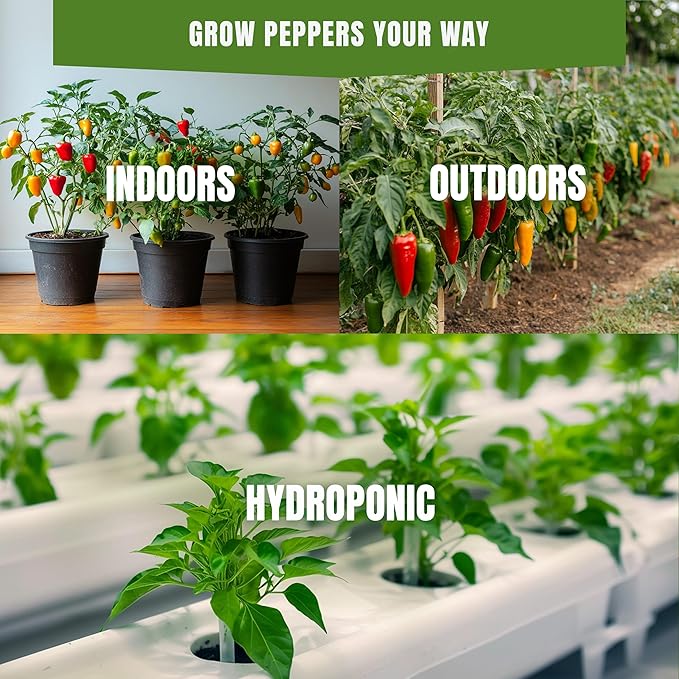 8 Hot Pepper Seeds Variety Pack – Mixed Heat Garden Collection, Anaheim, Cayenne, Habanero, Hungarian Hot Wax, Jalapeño, Poblano, Serrano & Firecracker, Non-GMO Heirloom for Indoor & Outdoor Growing