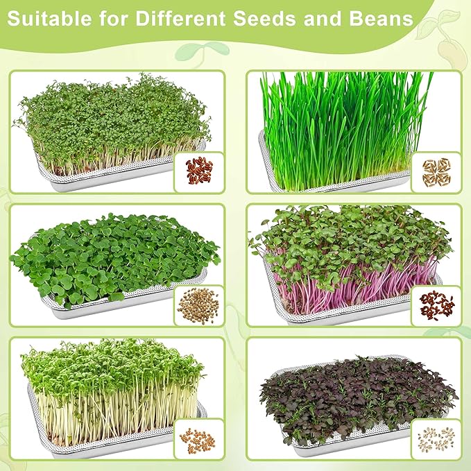 Stainless Steel Sprouts Growing Kit 3-Tier 14 inch Trays, Microgreens Growing Kit, Seed Sprouting Tray with Encrypted Mesh Sprouts for Beans Alfalfa Broccoli Wheat Grass