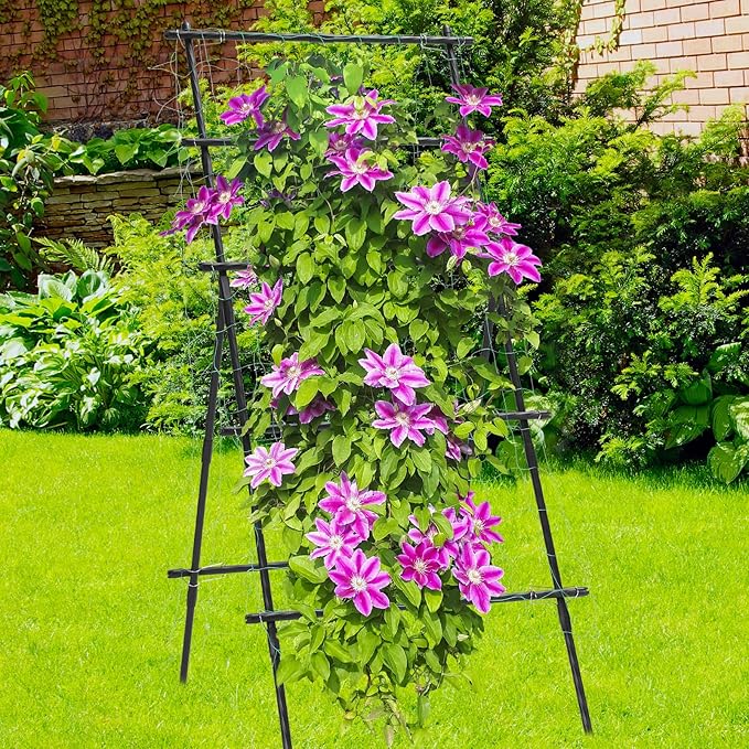 FOLLOOK Garden Trellis for Climbing Plants, 6ft Cucumber Trellis for Raised Bed, Pea Grape Vine Tomato Trellis Cattle Panel A Frame Vegetable Plant Support Outdoor for Backyard, Black
