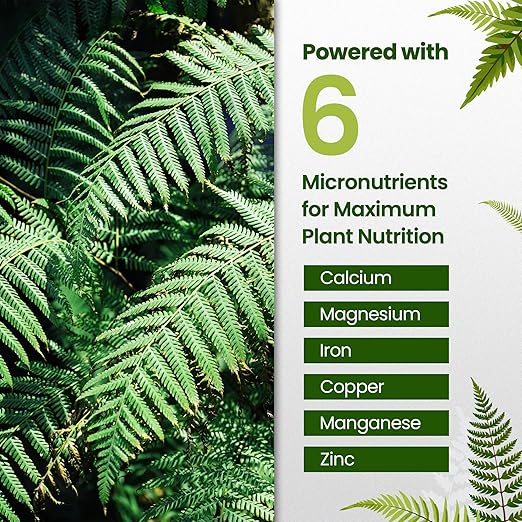 16oz Fern Fertilizer for Live Ferns - Makes 32 Gallons of Fertilizer for Ferns, Indoor Plant Food for Greener Growth and Dense, Resilient Fronds with Intricate Texture - Ideal for All Fern Plant Live