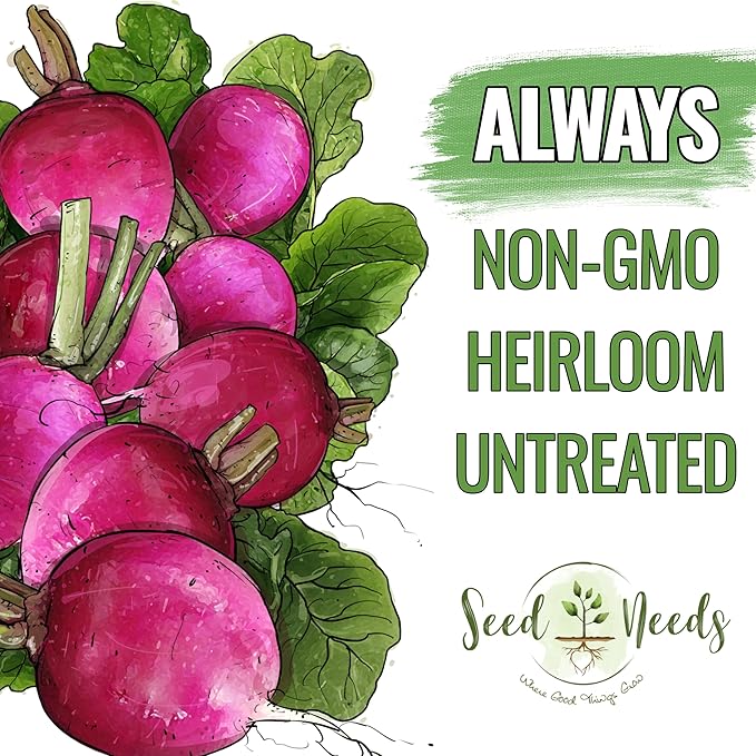 Seed Needs Radish Seeds for Planting Purple Plum Radishes - Non-GMO Heirloom & Untreated - Grow a Home Grown Vegetable Garden - Cool Weather Crops (2 Packs)
