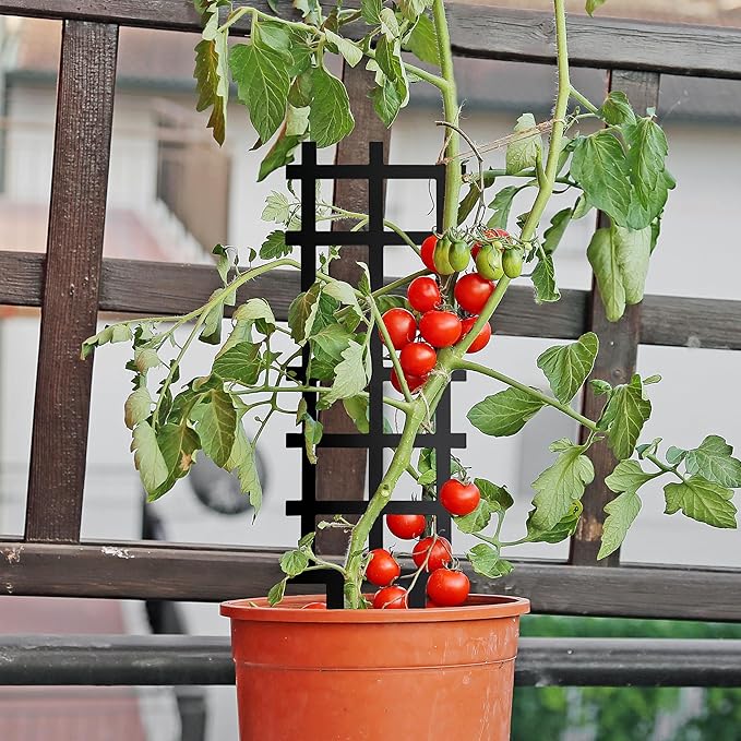 Metal Ladder Indoor Plant Trellis,14.96 inch Metal Plant Trellis for Climbing Plants Indoor.Rustproof House Plant Support for Pothos Hoya Ivy Flower