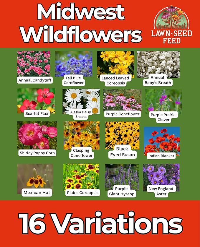 Midwest Mix (2oz) Brings Your Garden to Life with Native Wildflowers for Midwest climates. Easy to Grow, Drought-Resistant, and pollinator-Friendly—just Plant, Water, and Enjoy!