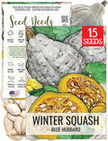 Seed Needs Blue Hubbard Winter Squash Seeds for Planting - Non-GMO, Heirloom & Untreated - Golden Yellow Sweet Flesh Perfect for Baking & Cooking (1 Pack)