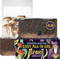 4 LB All-in-One Grow Bag: Up to 32oz of Mushrooms! Nutrient-Enhanced, Injection Port, Just Add Your Own Spores & Grow Like Magic (4 LB Bag)