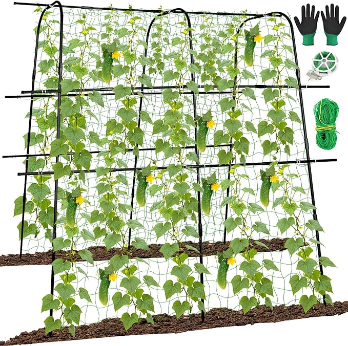64 x 64 Inch Garden Cucumber Trellis Vegetable Arch Trellis Green Bean Pea Grape Tomato Squash Trellises for Raised Bed Climbing Plants Outdoor