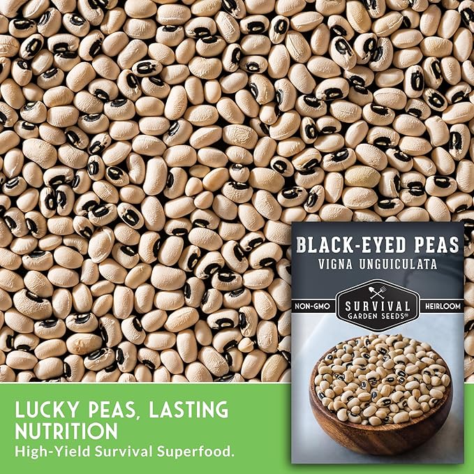 Black Eyed Pea Seeds for Planting - Heirloom Non-GMO Cowpea Variety - Drought Tolerant, High-Yield Southern Field Peas for Home Gardens and Food Independence - Survival Garden Seeds (5 Pack)