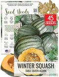 Seed Needs, Table Queen Winter Squash Seeds - 45 Heirloom Seeds for Planting Cucurbita Pepo - Non-GMO & Untreated to Plant an Outdoor Vegetable Garden (1 Pack)